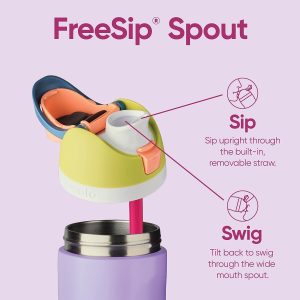 FreeSip Insulated Stainless Steel Water Bottle with Straw for Sports and Travel, BPA-Free, 32-oz, Very, Very Dark